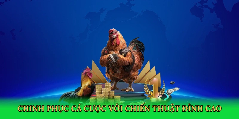 chinh-phuc-ca-cuoc-voi-chien-thuat-dinh-cao-4
