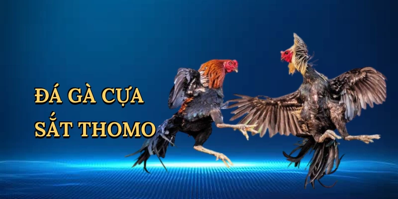 da-ga-cua-sat-thomo-1