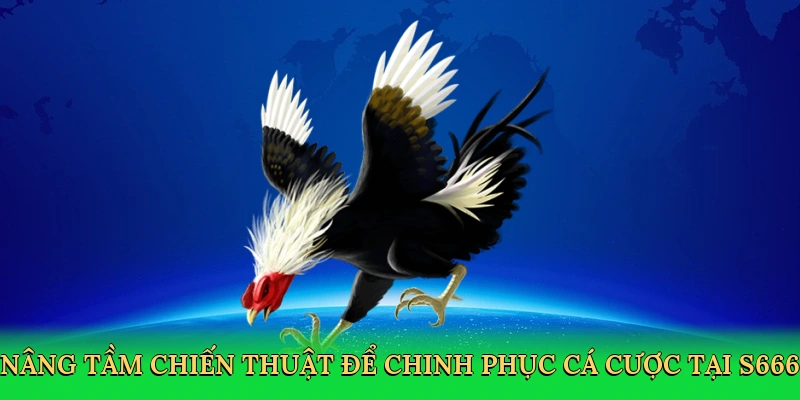 nang-tam-chien-thuat-de-chinh-phuc-ca-cuoc-tai-s666-4