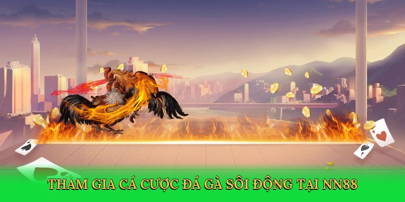 tham-gia-ca-cuoc-da-ga-soi-dong-tai-nn88-3