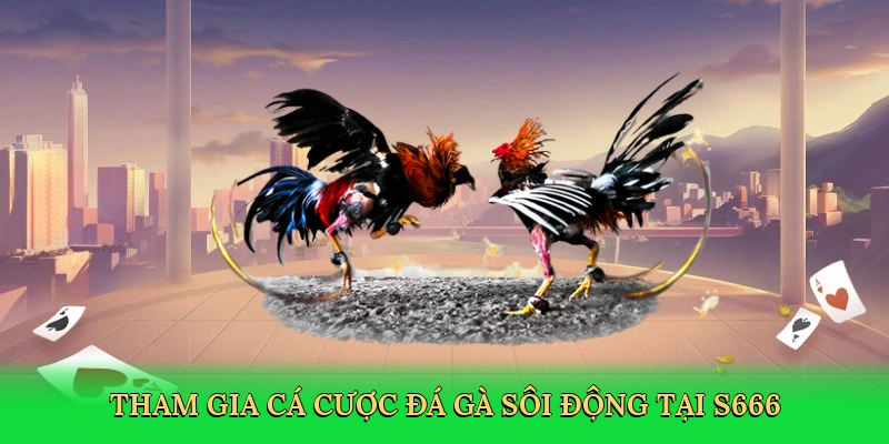 tham-gia-ca-cuoc-da-ga-soi-dong-tai-s666-3