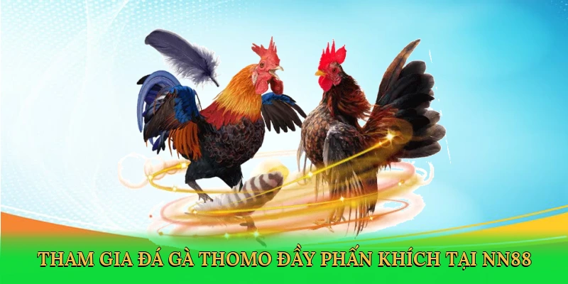 tham-gia-da-ga-thomo-day-phan-khich-tai-nn88-2