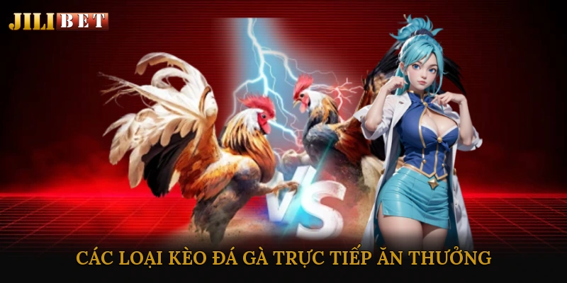 Các loại kèo đá gà trực tiếp ăn thưởng