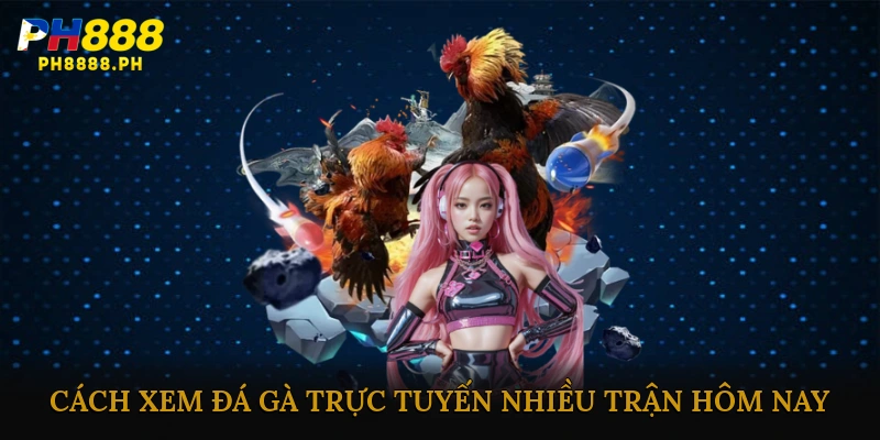 Cách xem đá gà trực tuyến nhiều trận hôm nay chất lượng cao