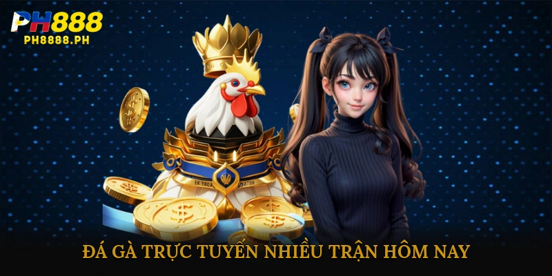 đá gà trực tuyến nhiều trận hôm nay