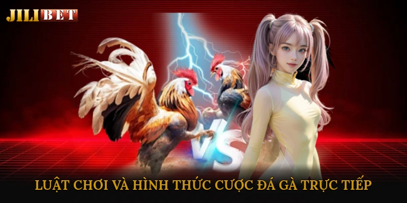 Luật chơi và hình thức cược đá gà trực tiếp