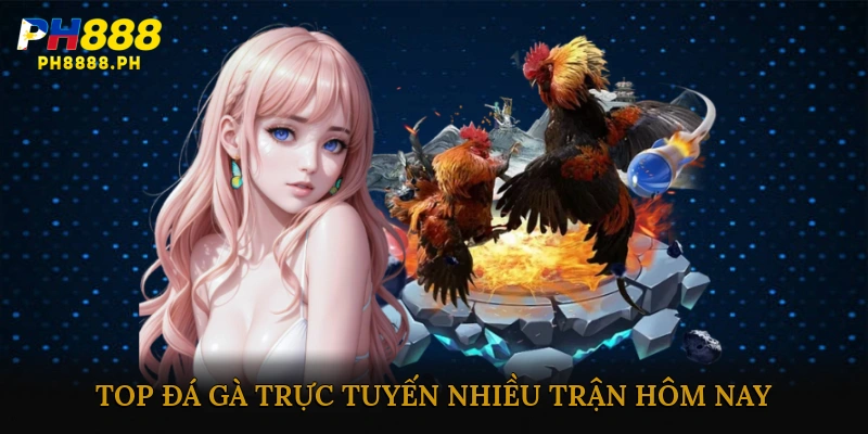 Top đá gà trực tuyến nhiều trận hôm nay