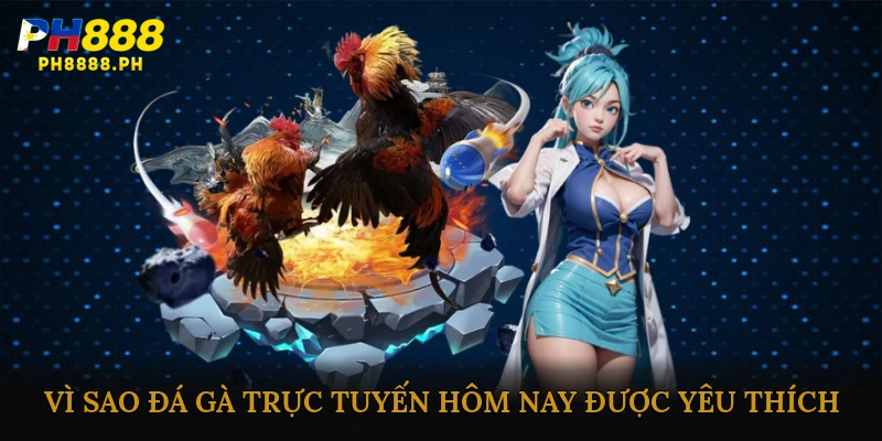 Vì sao đá gà trực tuyến hôm nay được yêu thích?
