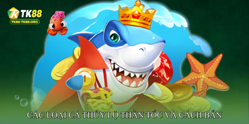 Các Loại Cá Thủy Lộ Thần Tốc Và Cách Bắn Chúng