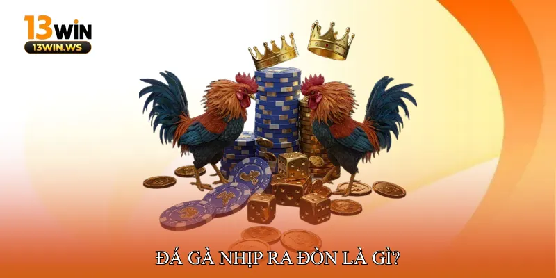 Đá Gà Nhịp Ra Đòn Là Gì?