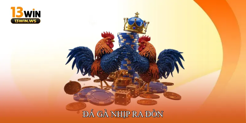 Đá gà Nhịp ra đòn