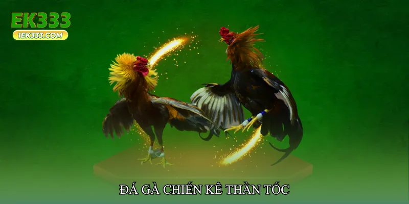 Đá gà chiến kê thần tốc