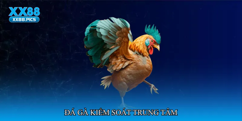 Đá gà kiểm soát trung tâm