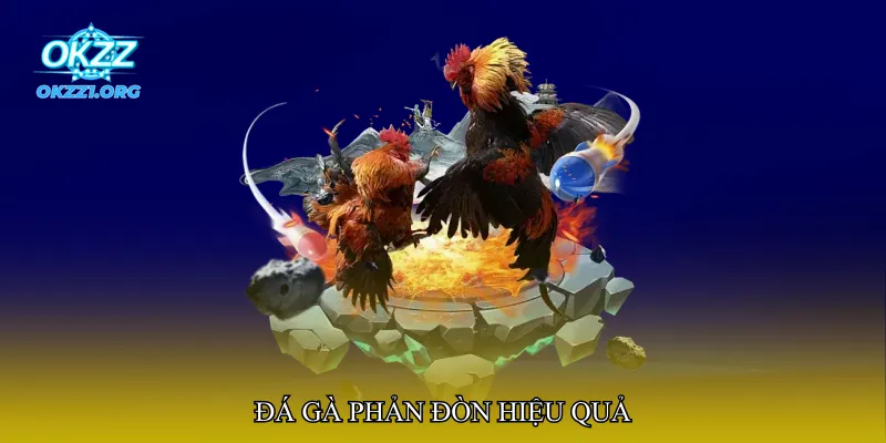 Đá gà phản đòn hiệu quả
