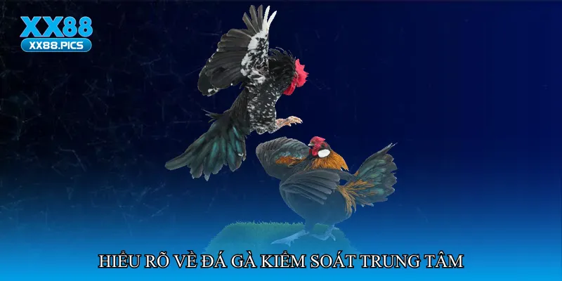 Hiểu rõ về Đá gà kiểm soát trung tâm