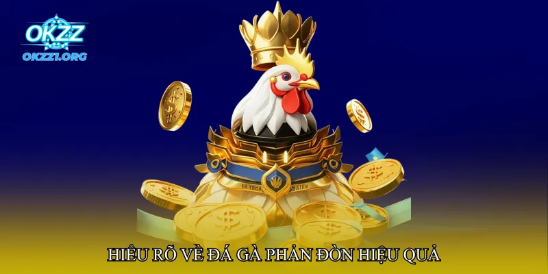 Hiểu rõ về đá gà phản đòn hiệu quả