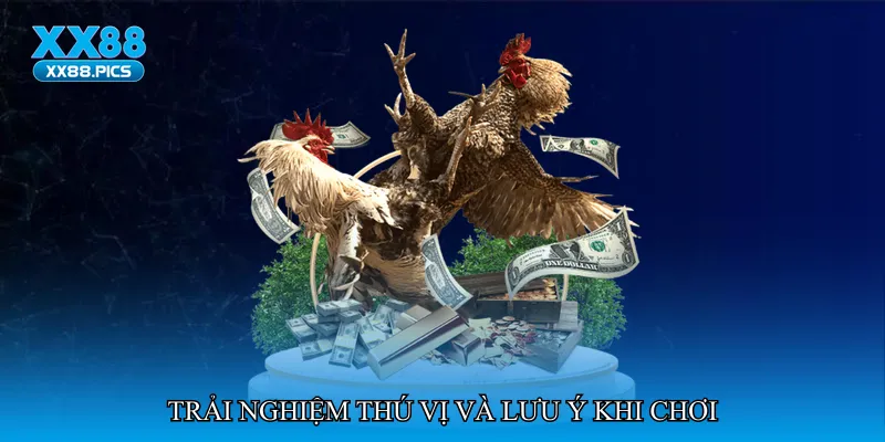 Trải nghiệm thú vị và lưu ý khi chơi